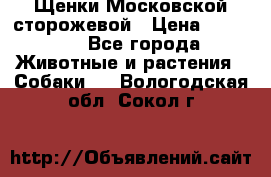 Щенки Московской сторожевой › Цена ­ 35 000 - Все города Животные и растения » Собаки   . Вологодская обл.,Сокол г.